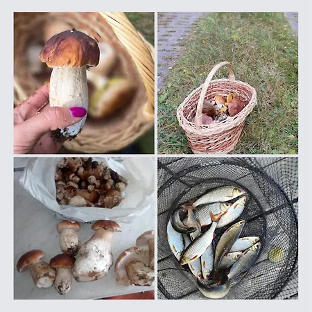 Дом отдыха Iguhouse