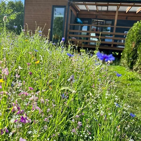 Tatil Evi Iguhouse Czaplinek