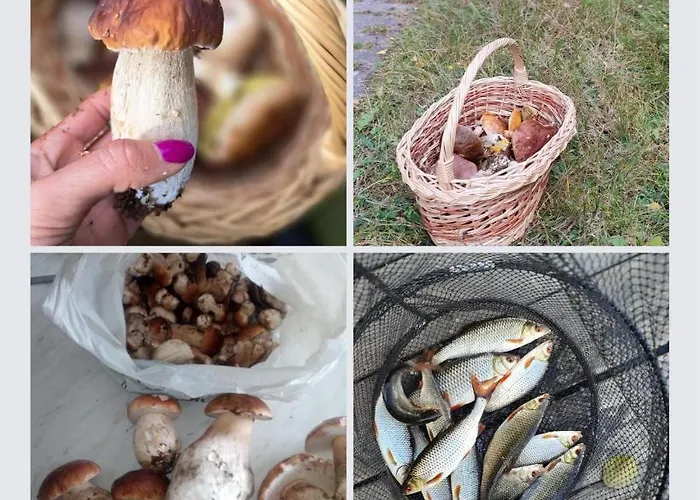 Semesterbostad Iguhouse