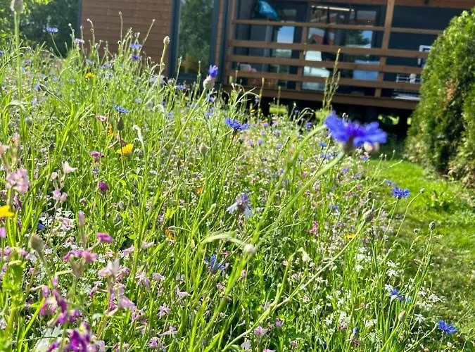 Semesterbostad Iguhouse Czaplinek